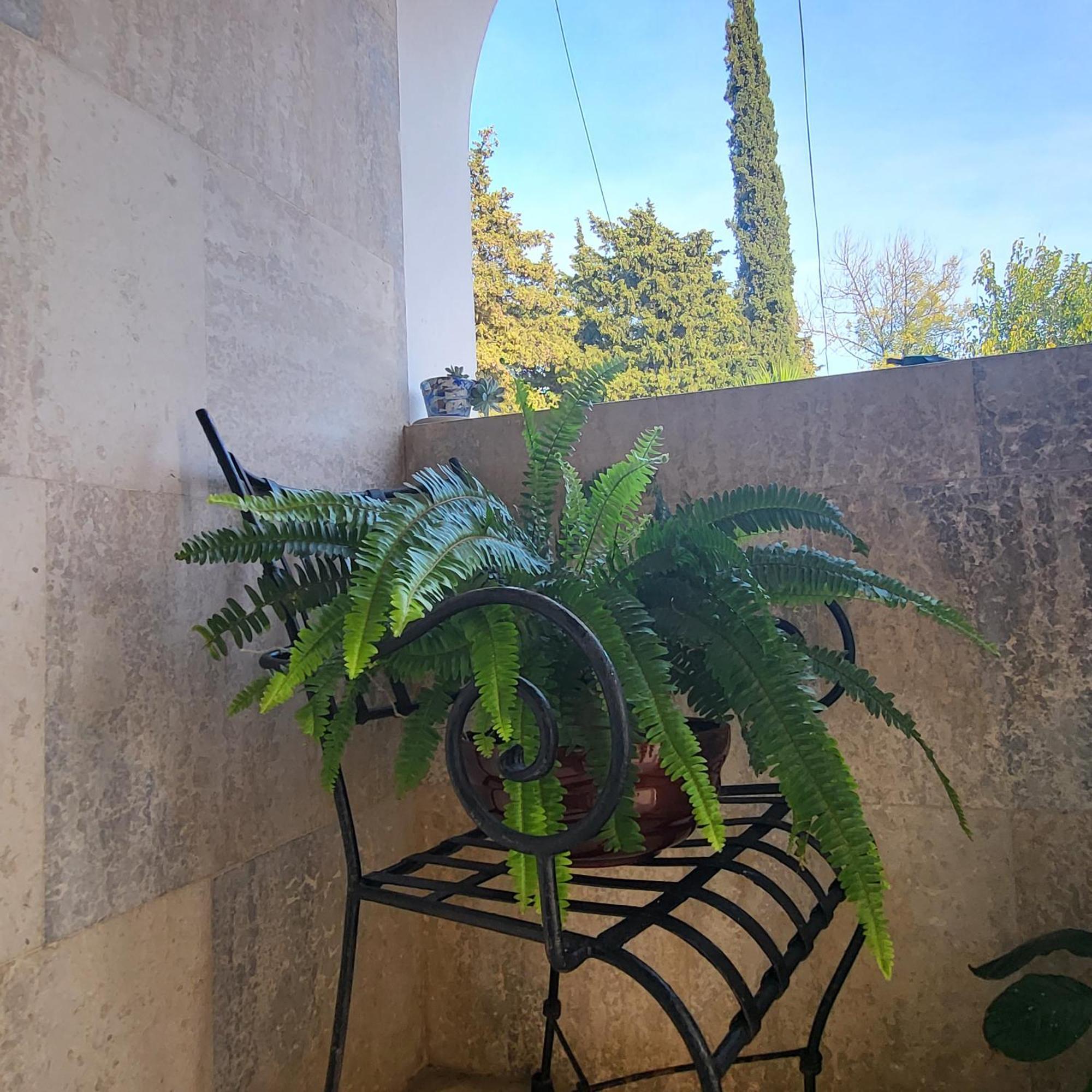 Studio Apartman Sa Pogledom Na More Meljine Εξωτερικό φωτογραφία