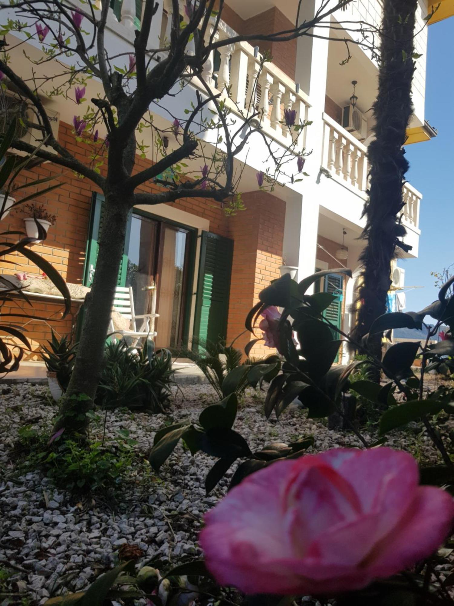 Studio Apartman Sa Pogledom Na More Meljine Εξωτερικό φωτογραφία