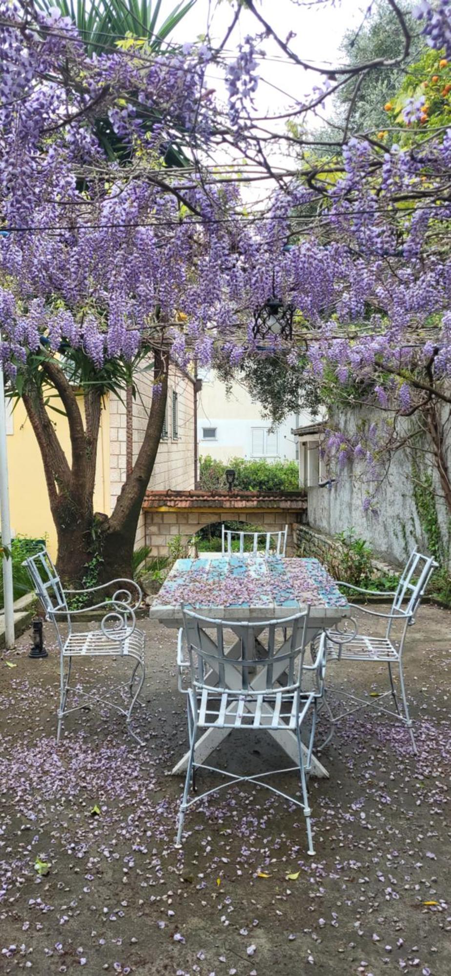 Studio Apartman Sa Pogledom Na More Meljine Εξωτερικό φωτογραφία